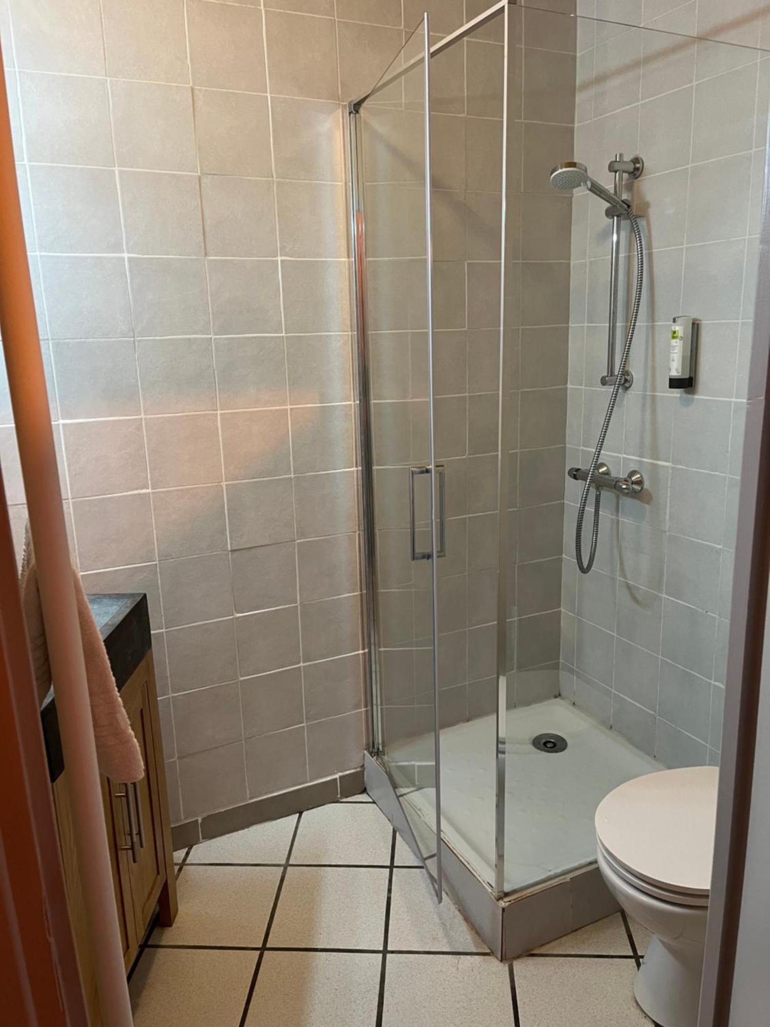 Saint-Maurice-en-Trièves Logis Le Chalet מראה חיצוני תמונה
